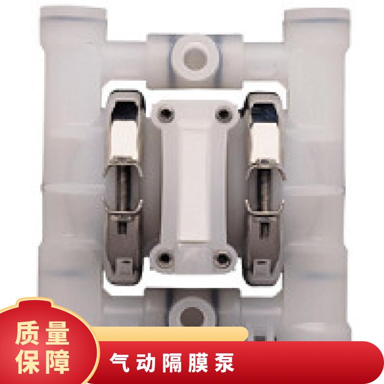 PX8/AAAAR/BNU/BN//0054 威尔顿金属隔膜泵P1 TZ15/AAAAB/N