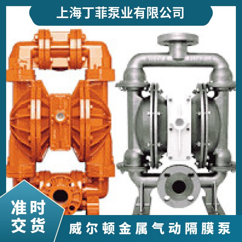 P2/PKPPP/NES/NE/PBN/0404 威尔顿金属气动隔膜泵 PX400/AAAA