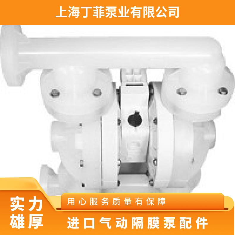 P2/KKPPP/VTS/TF/KTV/0400 进口气动隔膜泵配件 PX200/WWAAA/