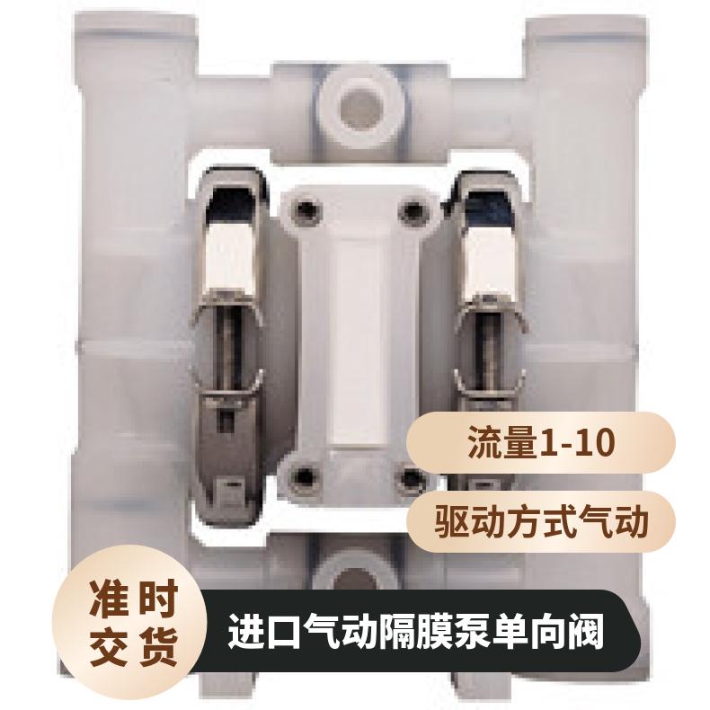 XPX20/WWAAA/FSS/PU/PEP 进口气动隔膜泵单向阀 P420/AAAPP/Z
