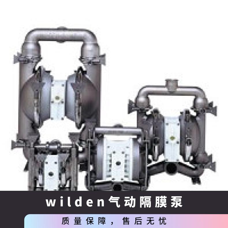 02-12168?? ?威尔顿wilden气动隔膜泵?? ?XPX200/SSAAA/W