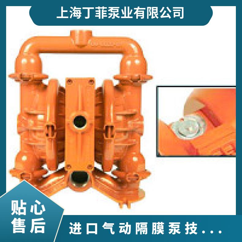 08-13825?? ?威尔顿wilden气动隔膜泵?? ?XPX8/AAAAA/VTS