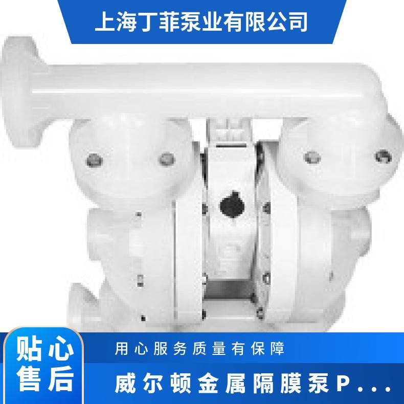 P1/AAPPP/FSS/VT/AFS 威尔顿金属隔膜泵P025 T15/WWAPB/BNU/B