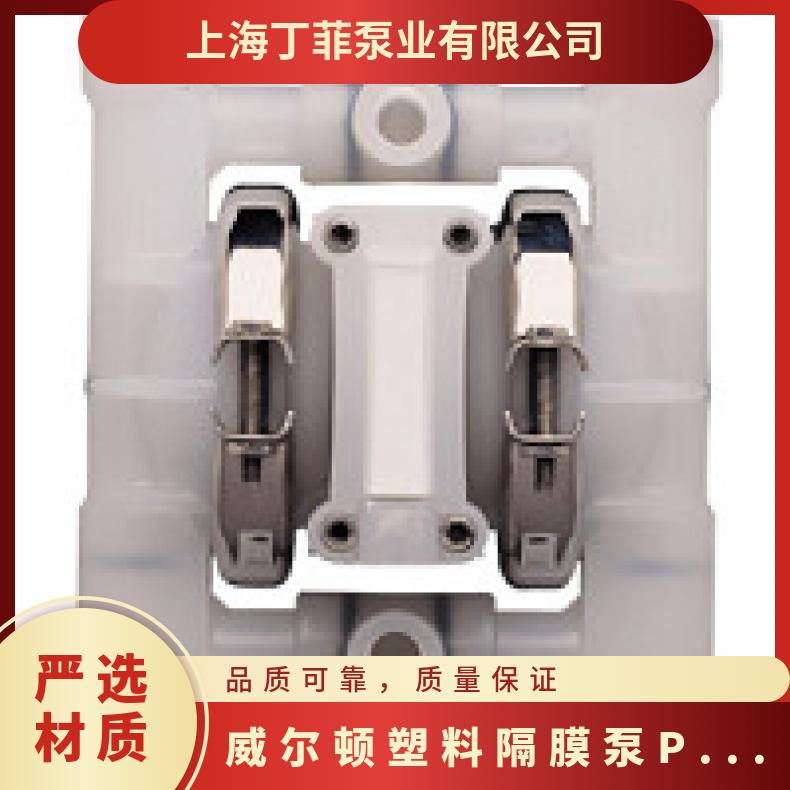 15-12042?? ?威尔顿wilden气动隔膜泵?? ?XPX1500/SSAAA/
