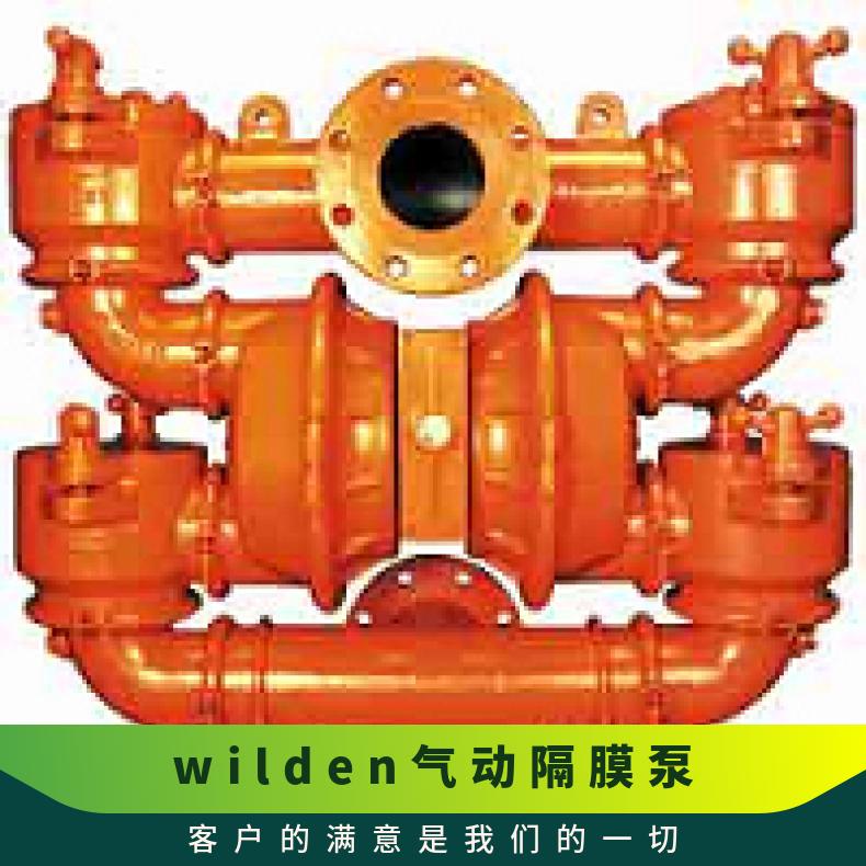 02-12159?? ?威尔顿wilden气动隔膜泵?? ?XPX200/AAAAA/E