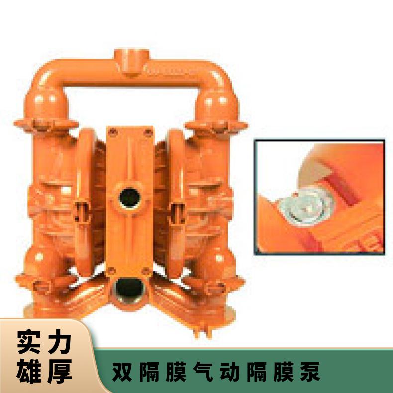 T8/WWAPB/PUS/NE/ 铝合金气动隔膜泵 P8/AAAPP/VTS/TF/VT/0014