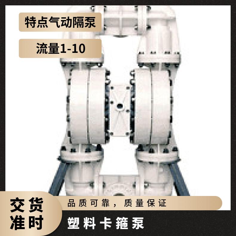 P2/KKPPP/VTS/VT/KTV/0402 气动隔膜泵维修备件包 T8/AAAAB/N