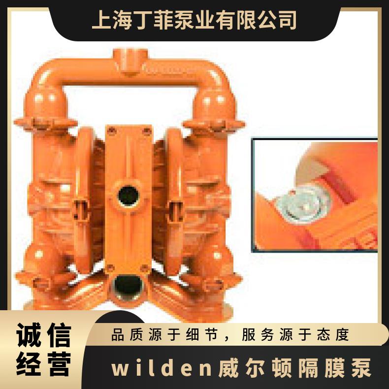 PX800/SSAAA/TEU/TF/STF/0100 wilden威尔顿隔膜泵 08-13822