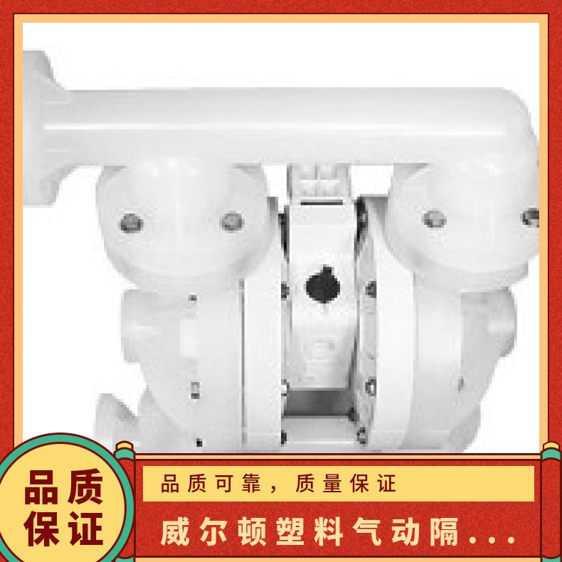 T4/AAMAB/BNS/BN//0014 威尔顿塑料气动隔膜泵PX4 T4/