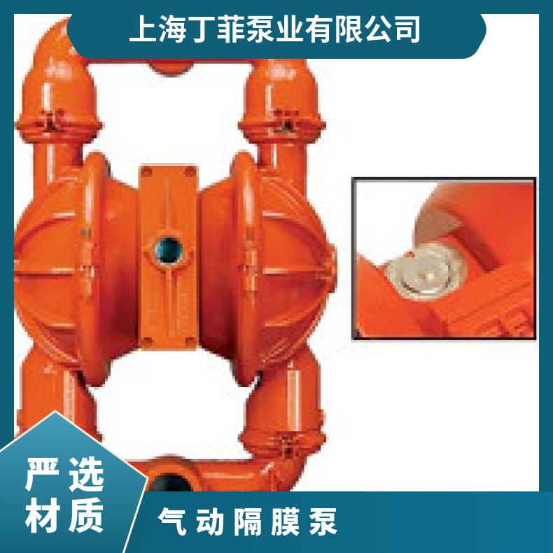 P200/AAPPP/FSS/FS/STF/0698 进口食品级隔膜泵 PX/AAAAA/