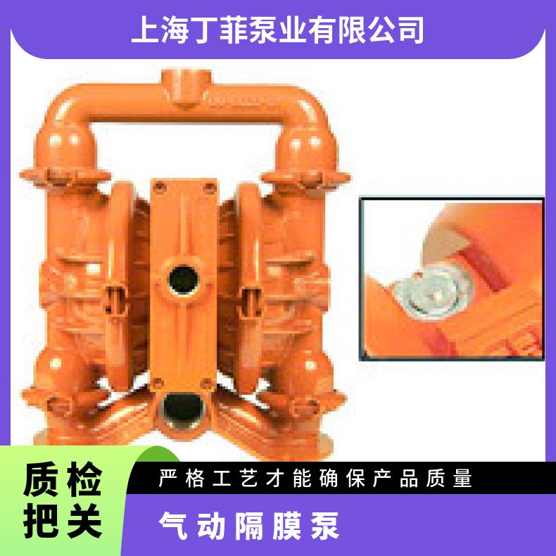 XPX15/SSAAA/TNU/TF/STF/0070 威尔顿金属隔膜泵P4 P1/PPPPP/
