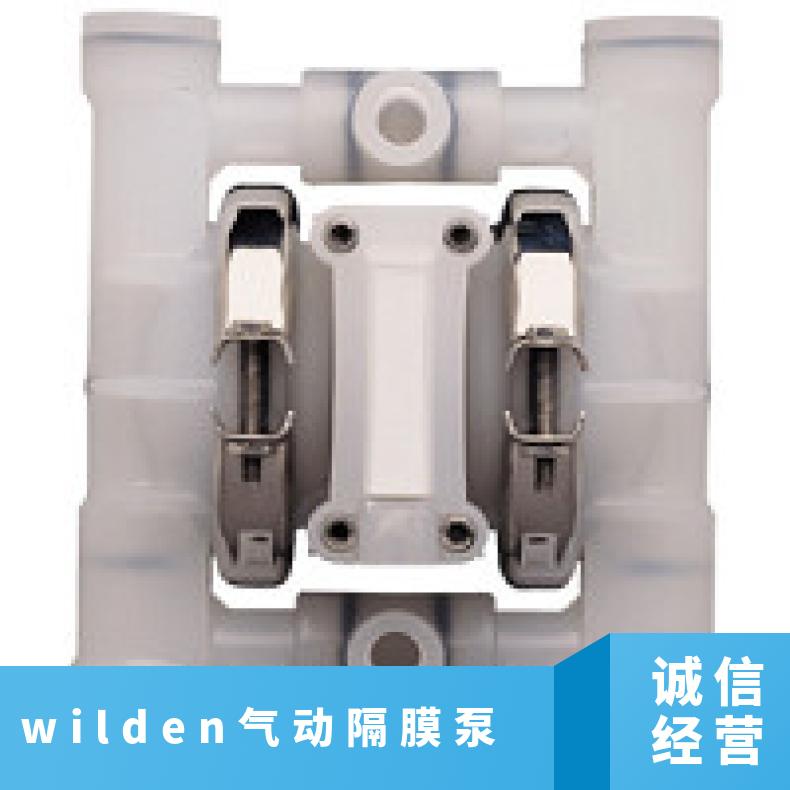 02-11816?? ?威尔顿wilden气动隔膜泵?? ?XPX200/SSAAA/T