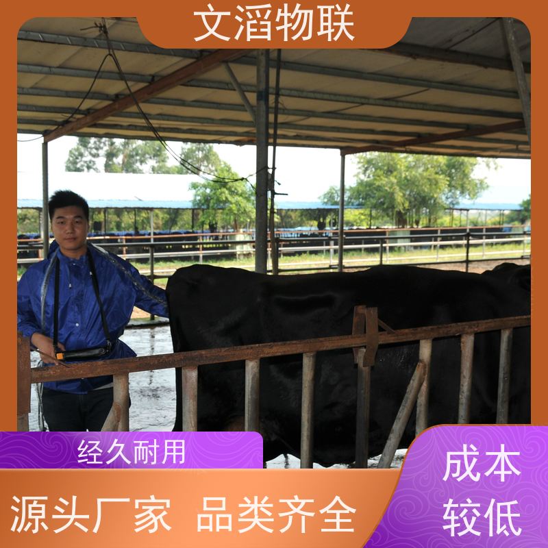 文滔物联 高新科技 TMR精准饲喂器 生成厂家 支持定制 