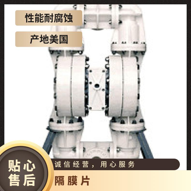 15-10053?? ?威尔顿wilden气动隔膜泵?? ?T/AAAPB/BNS/