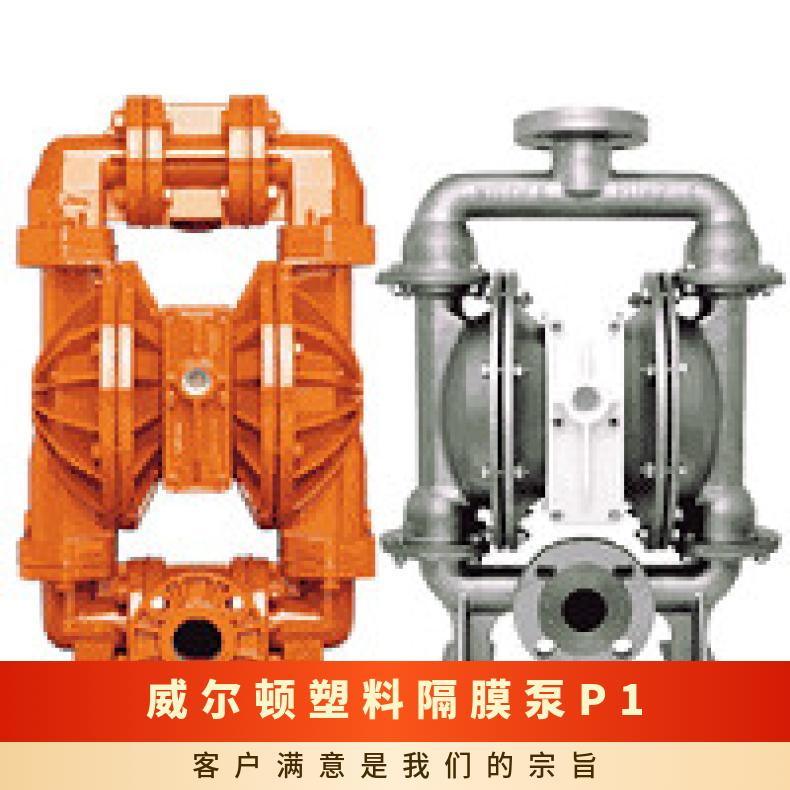 PX800/SSSPP/TEU/TF/STF 威尔顿塑料隔膜泵P1 XPS4/SSSSS/ZGS/BN/