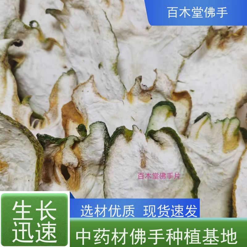百木堂 佛手 生长环境适应性强 道路绿化行道苗