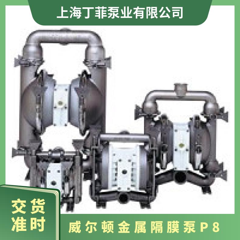 XPX200/SSAAA/NES/NE/SNE/0730 威尔顿金属隔膜泵P8 01-10926