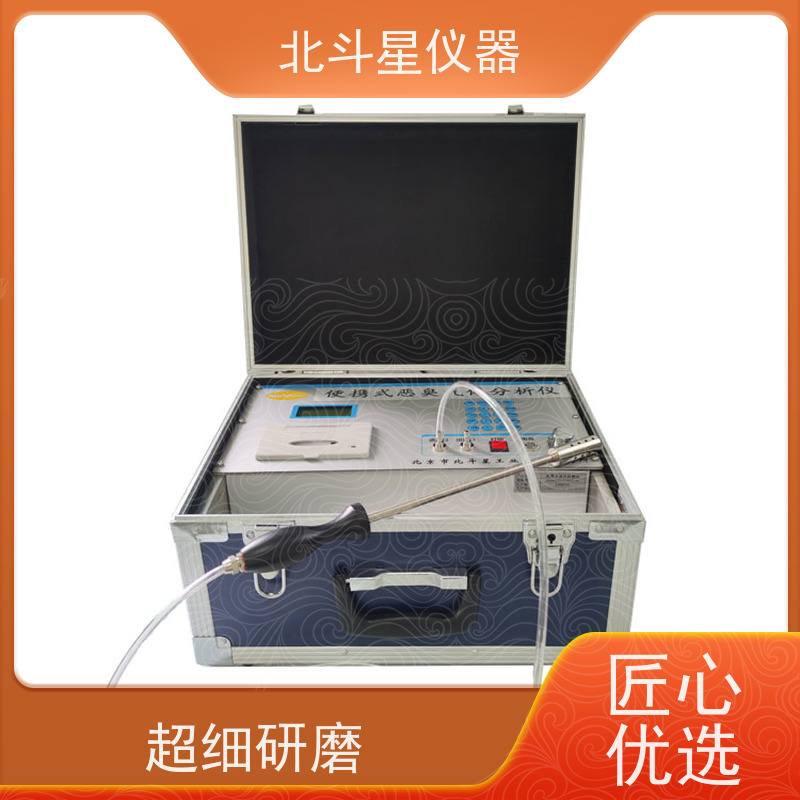 北斗星仪器 性能可靠稳定 灵敏度高 恶臭异味检测仪 下水道
