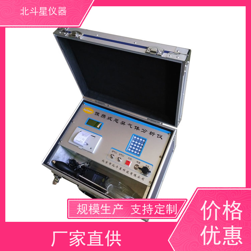 北斗星仪器 便携式 高精度电化学传感器 恶臭监测仪