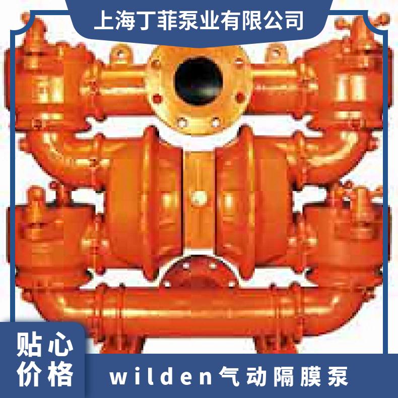 XPX200/SSAAA/TEU/TF/STF/0698 威尔顿金属隔膜泵P4 02-12028