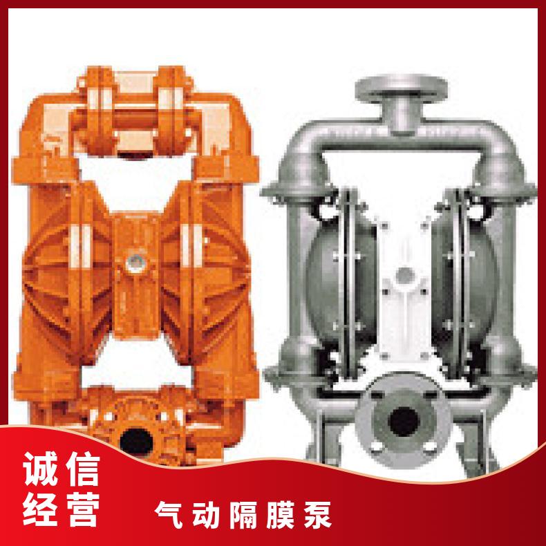 PX800/SSAAA/TEU/TF/STF/0103 威尔顿P4系列塑料气动隔膜泵 P
