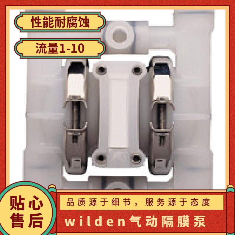08-13471?? ?威尔顿wilden气动隔膜泵?? ?PX800/SSAAA/TS