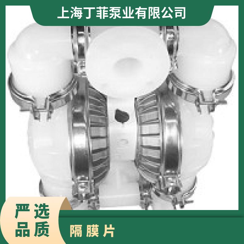 02-11700?? ?威尔顿wilden气动隔膜泵?? ?XPX200/SSAAA/X