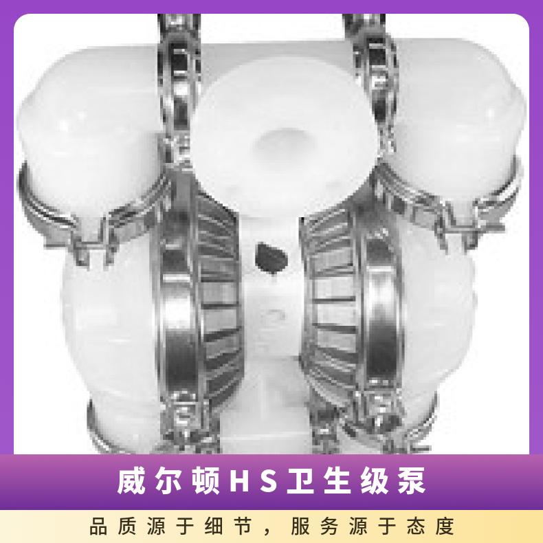 01-10001?? ?威尔顿wilden气动隔膜泵?? ?T1/AAYYB/BNS/B