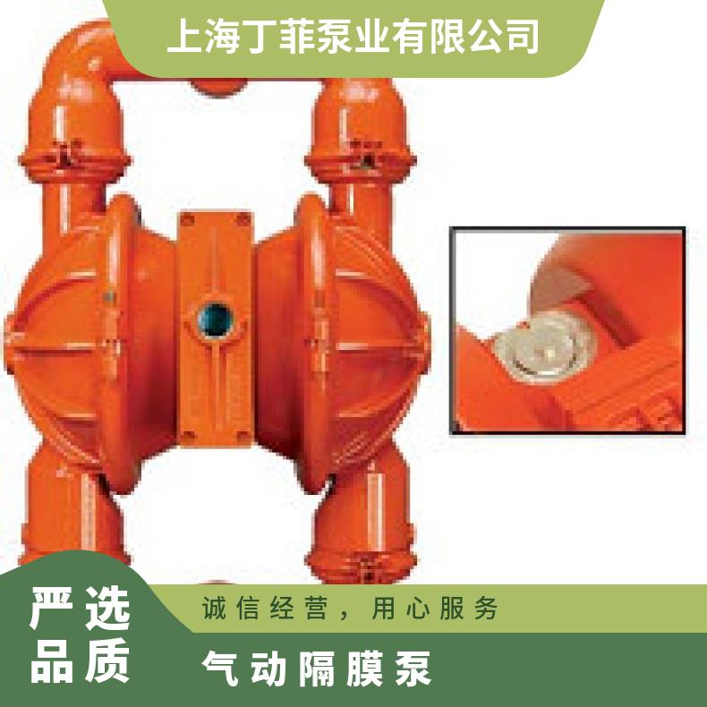 P8/AAAPP/PUS/NE/ 威尔顿PX20系列金属气动隔膜泵 P1/AALLL