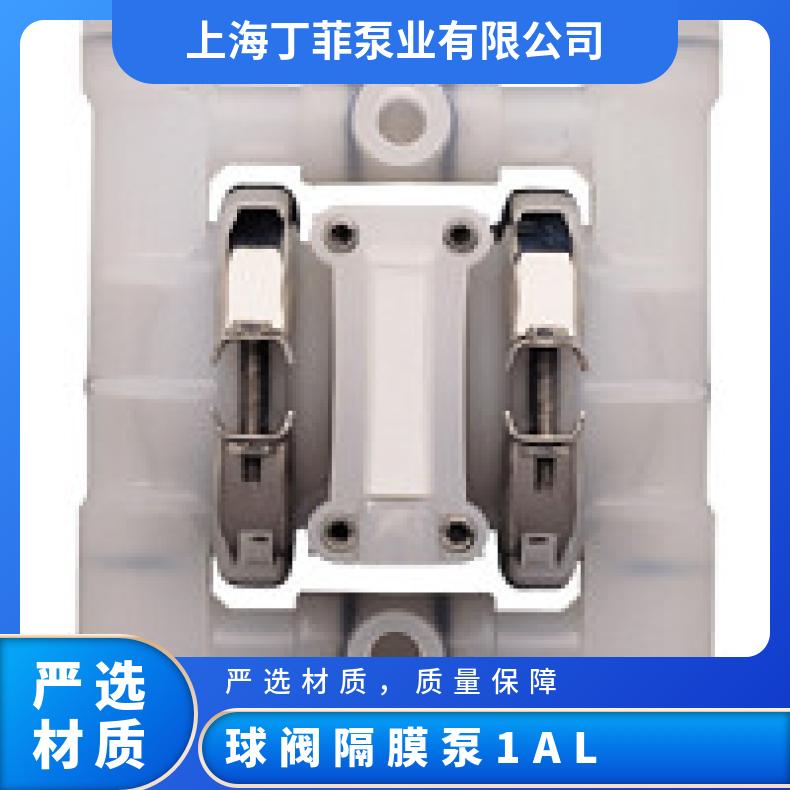 T4/WWPPB/NEU/NE//0050 威尔顿金属隔膜泵P400 02-12117?