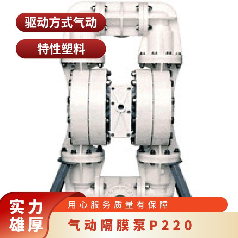 08-13114?? ?威尔顿wilden气动隔膜泵?? ?T8/WWAAB/TNU/T