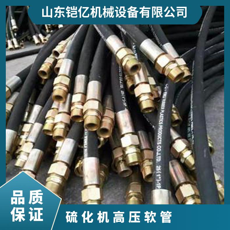 硫化机用两端带铜接头高压软管连接水压板与试压泵