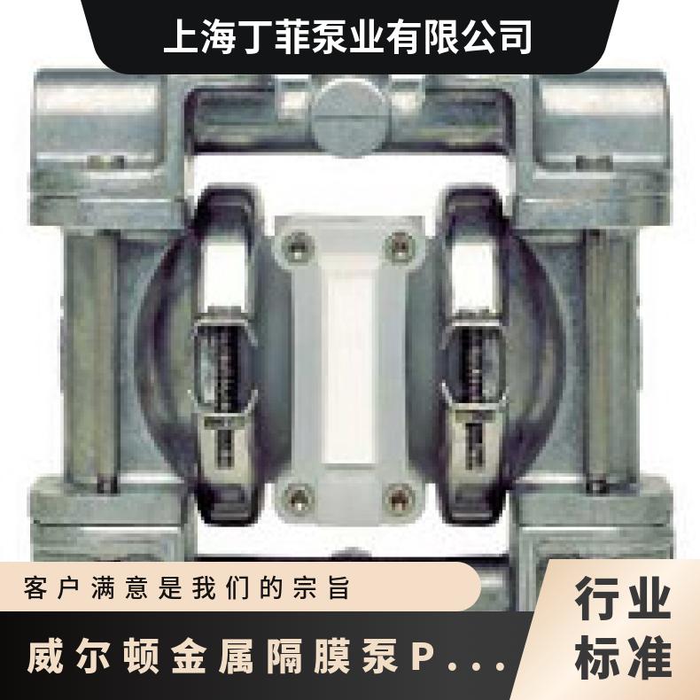 P400/SSAPP/TSU/TF/STF 威尔顿金属隔膜泵PX T4/AAMAB/BNS
