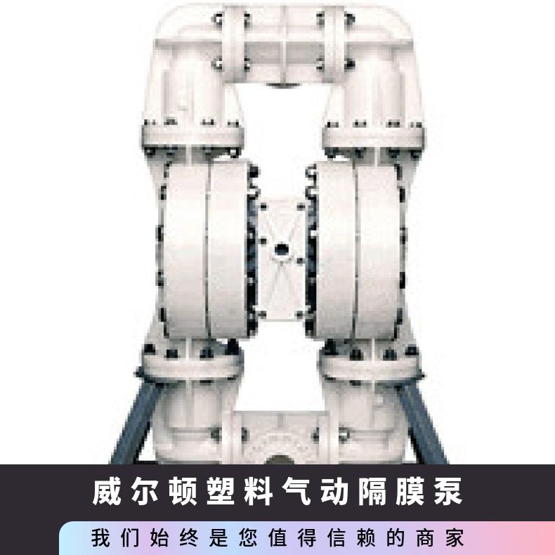 PX15/AAAAA/NES/NE/ 威尔顿塑料气动隔膜泵 8/SSAAR/TNU/