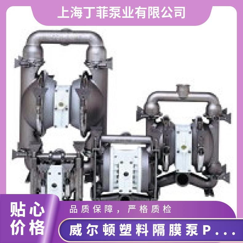 15-10387?? ?威尔顿wilden气动隔膜泵?? ?T/AAAPB/FSS/