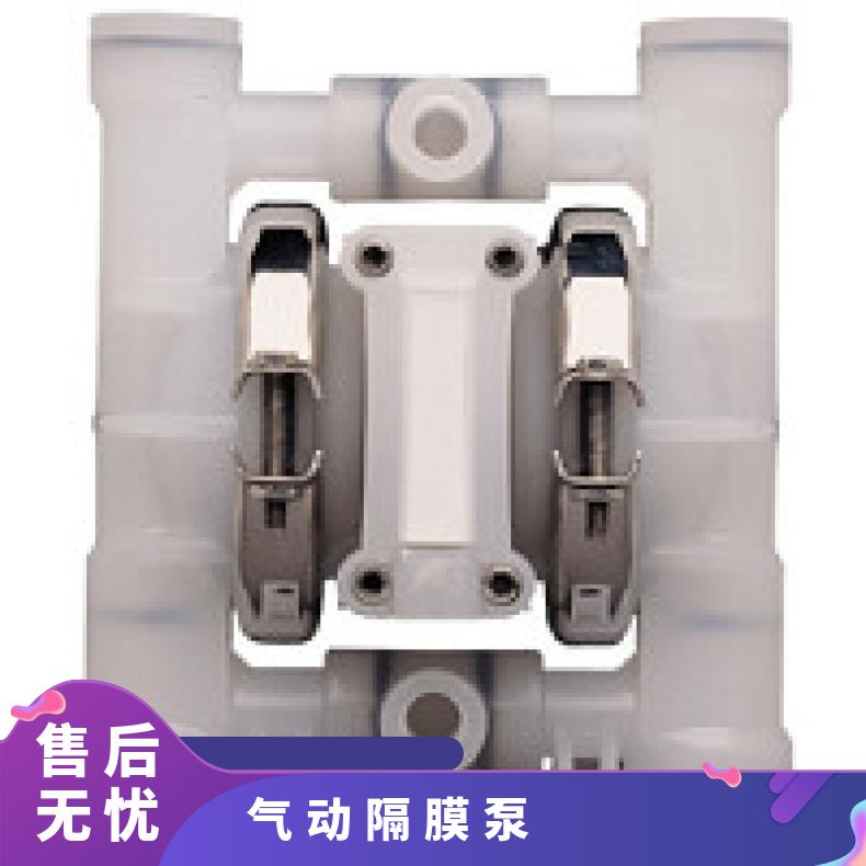 04-11777?? ?威尔顿wilden气动隔膜泵?? ?T4/AAPPB/TNU/T