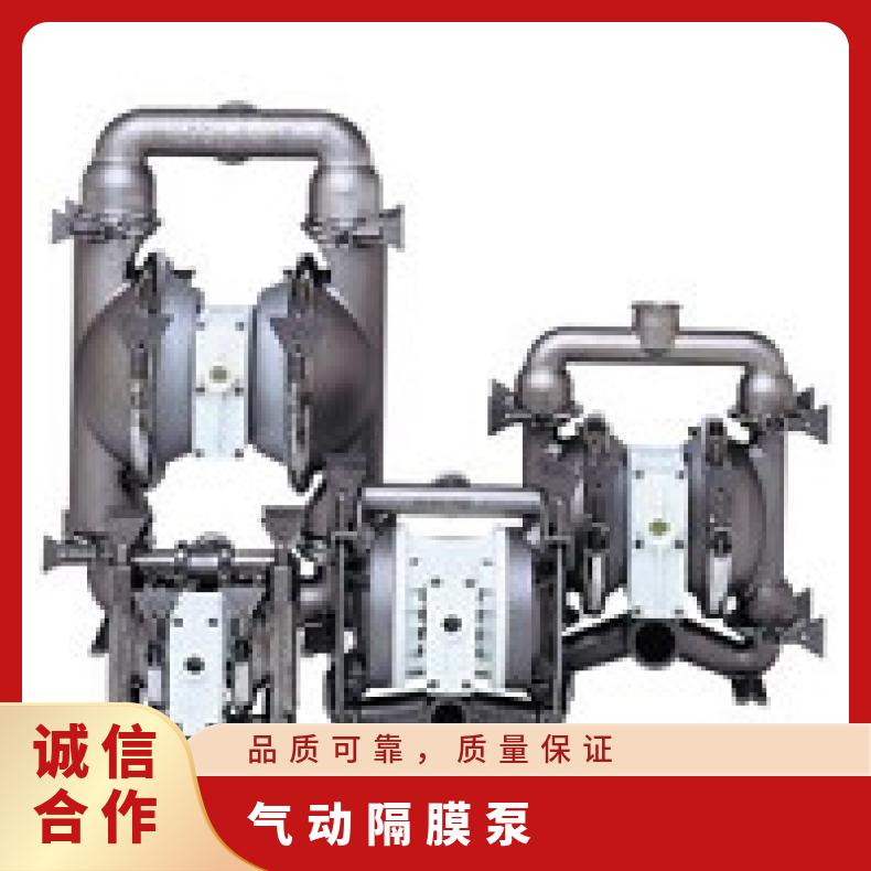PX200/AAAAA/NES/NE/ANE/0730 美国威尔顿气动隔膜泵 T8/AAAA