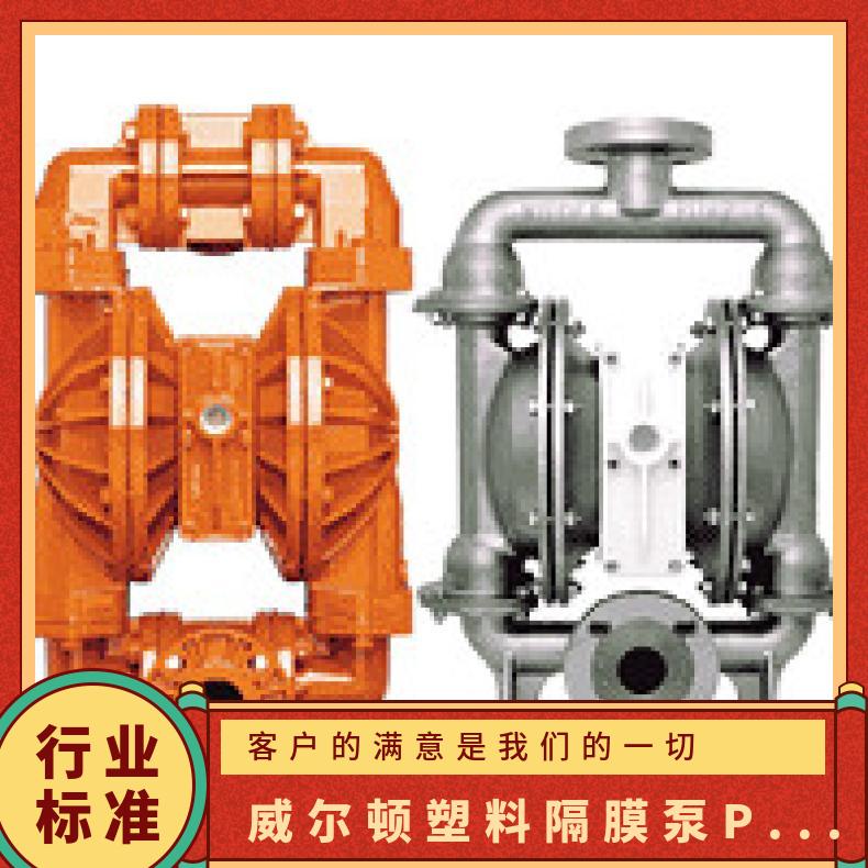 T8/WWWPB/WFS/WF//0048 威尔顿塑料隔膜泵P200 XP.025/SZPP
