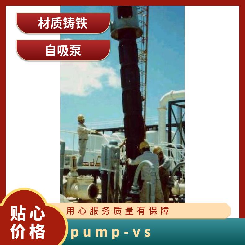 日本ARAI水泵 新井泵Arai Pump-VS型 常温 铸铁 美国尤孚u-flo