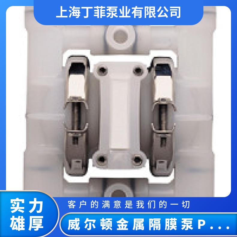 XPX1/AAAAA/TEU/TF/ATF/0014 威尔顿金属隔膜泵P200 XPS15/SS