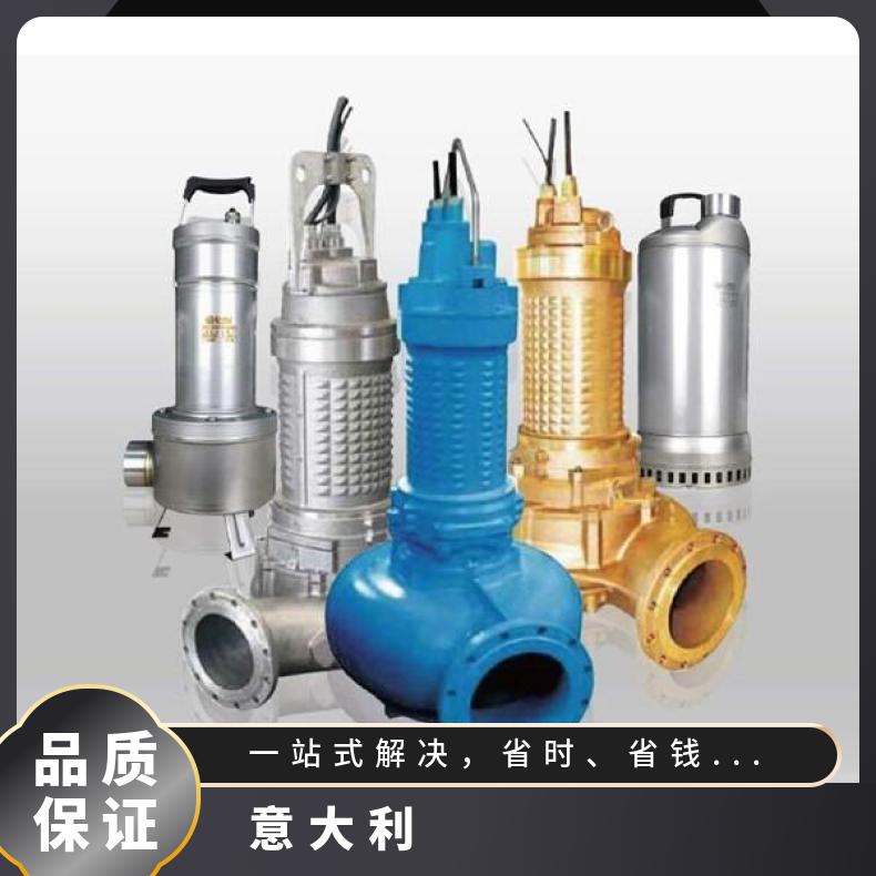 意大利进口水泵 不锈钢污 铸铁 u-flo 电动 常温 扬程10-60m