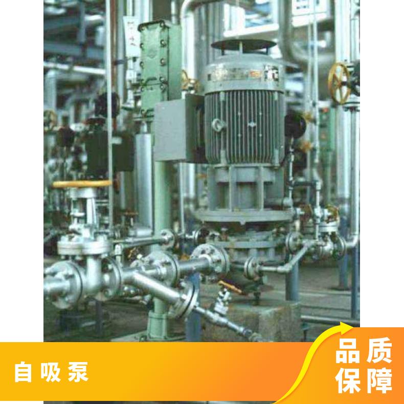 日本新井 进口自吸 潜水污水泵 常温 arai pump 铸铁