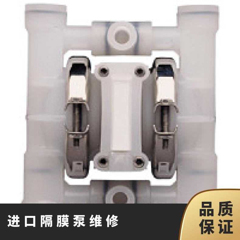 P4/PPAPP/WFS/WF/PTV 进口隔膜泵维修 PX200/WWAAA/VTS/VT/MVT/