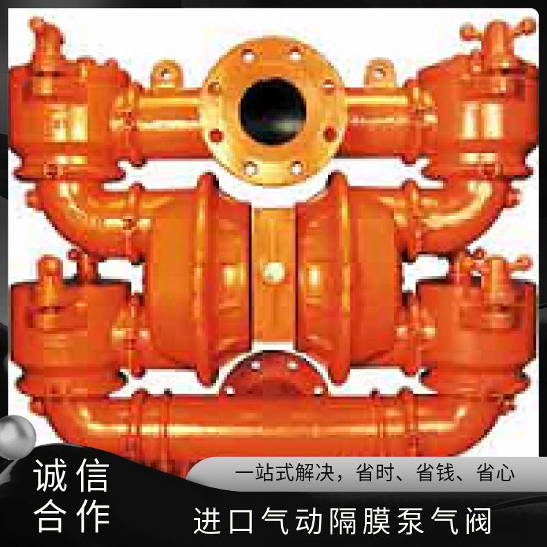 P200/AALLL/NES/NE/ABN/0678 进口气动隔膜泵气阀 T15/AAAPB/