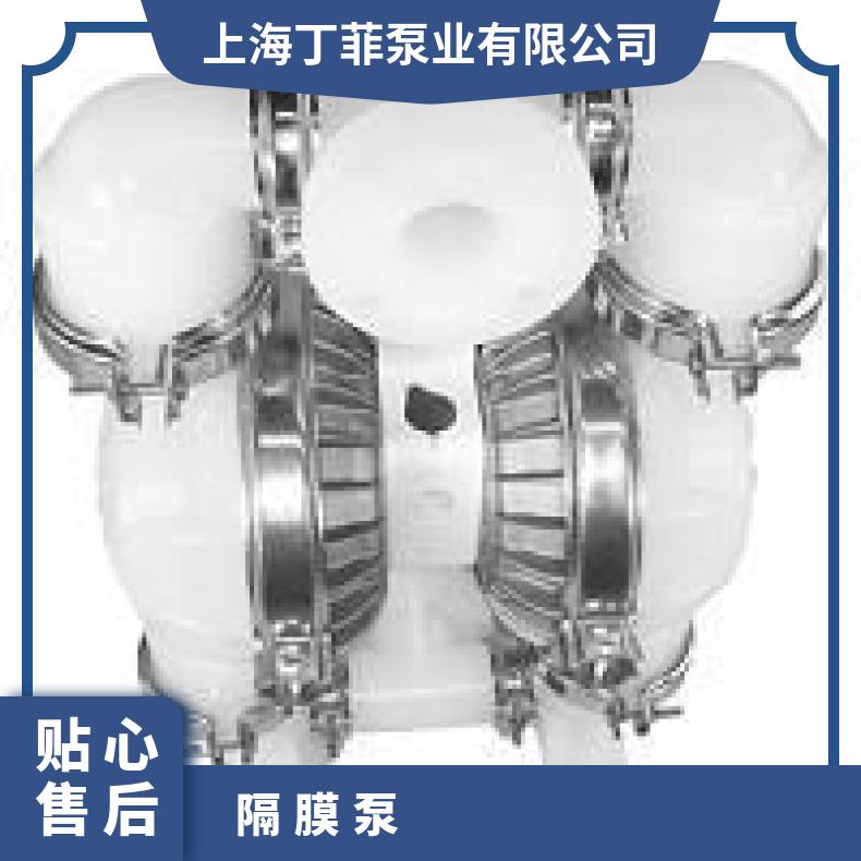 威尔顿型号 Wilden卡箍式金属 气动隔膜泵 15mm 单级 是