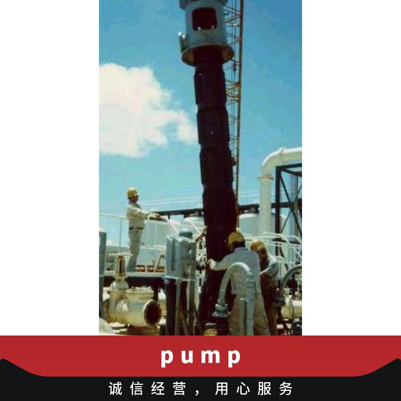 ARAI PUMP 新井泵Arai Pump-特殊型 常温 铸铁 潜水污水泵