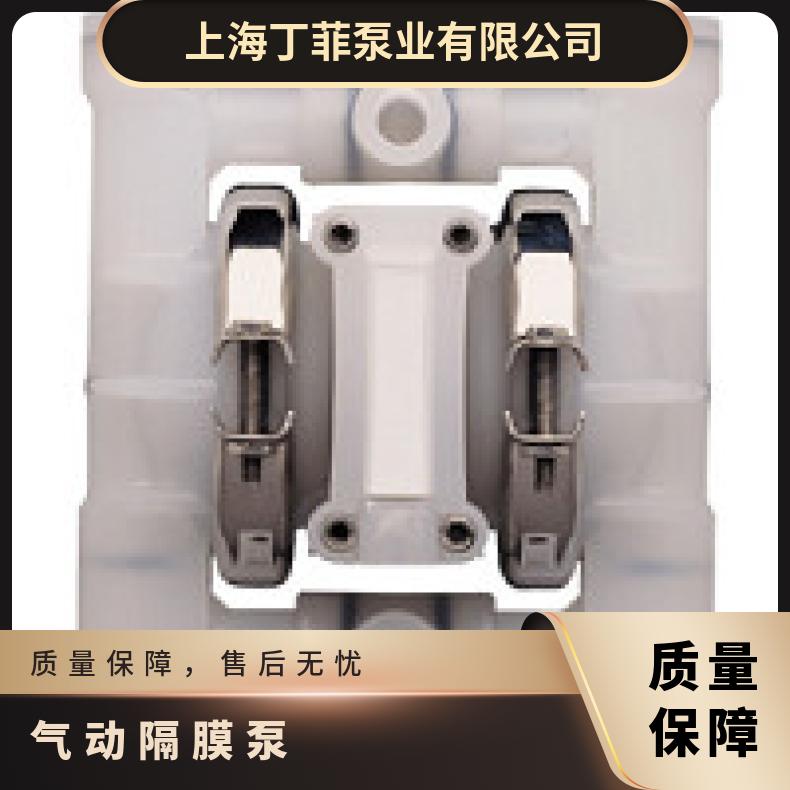 P1/KKPPP/BNS/BN/KBN 威尔顿T1系列金属气动隔膜泵 15-10075