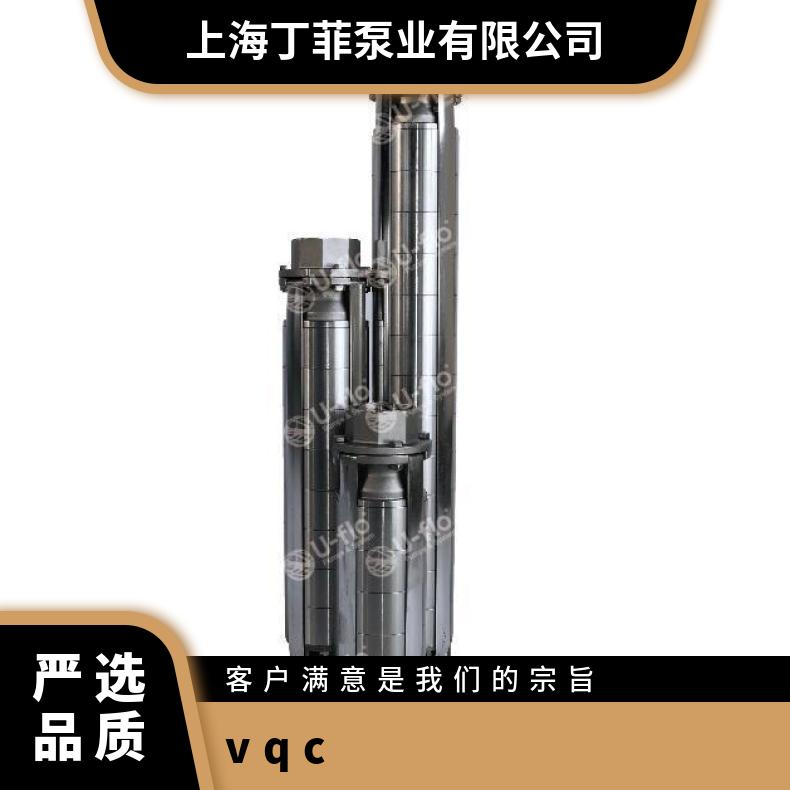VQC铸铁进口污水泵 VQB厂家 扬程10-60m u-flo 单叶轮 常温