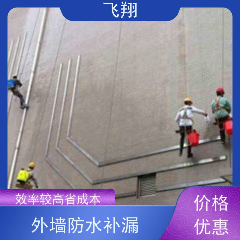 飞翔 天面防水补漏施工 免费勘察快速修补 效率高 