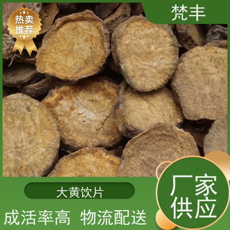 梵丰 大黄施肥 现挖 好种 易活活 长期供应 诚信经营